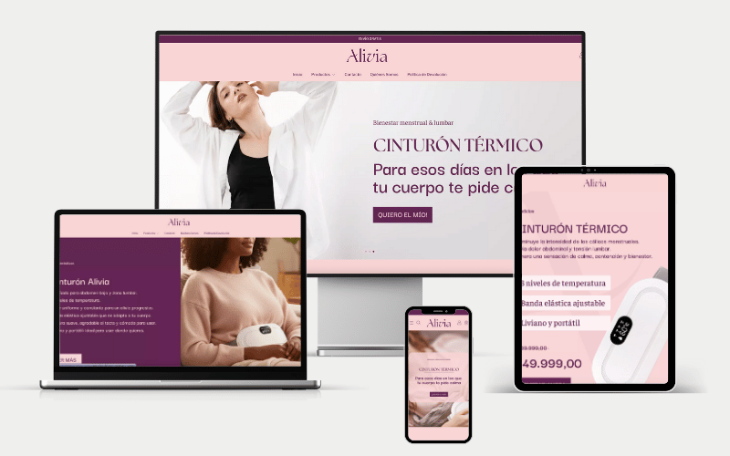 E-commerce Alivia